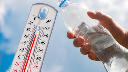 Beverage Refrigerator: Unlock the Optimal Flavor Profile for Your Drinks