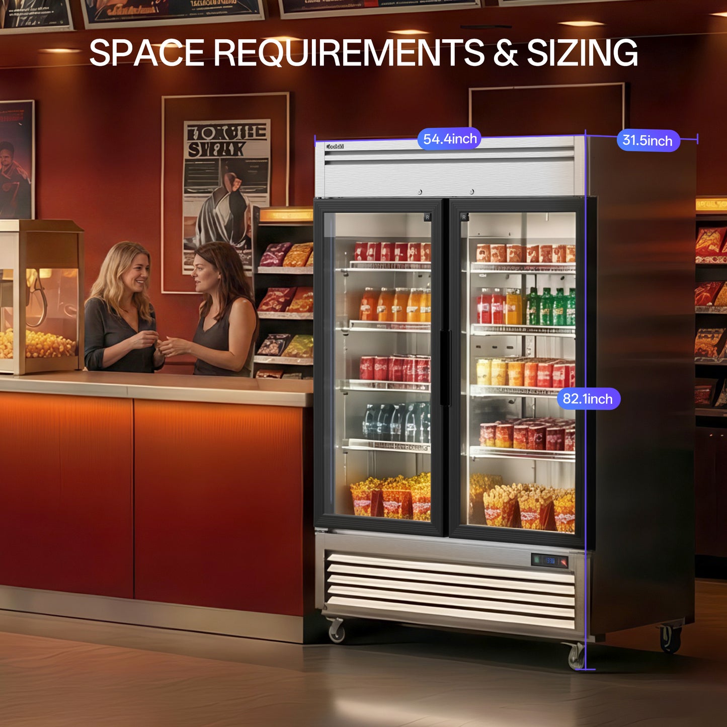 Coolski 54 in. 47.5 cu. ft. Commercial Display Refrigerator Merchandiser Beverage Cooler 2 Glass Door in Stainless Steel