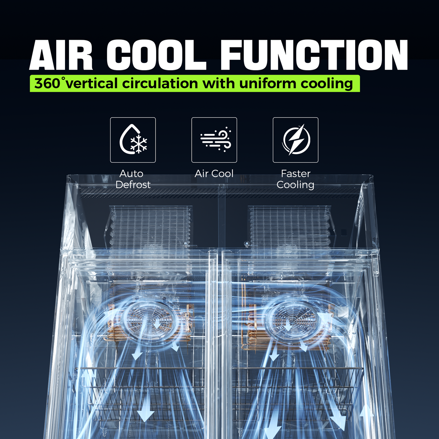 Coolake 48" W 36 Cu.ft 2 Door Commercial Refrigerator and Freezer Combo, Dual Temperature Zones
